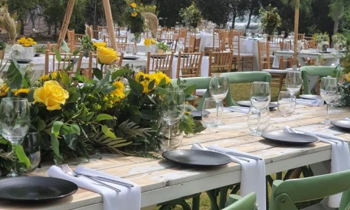 מקומות לאירועי חברה עם בריכה