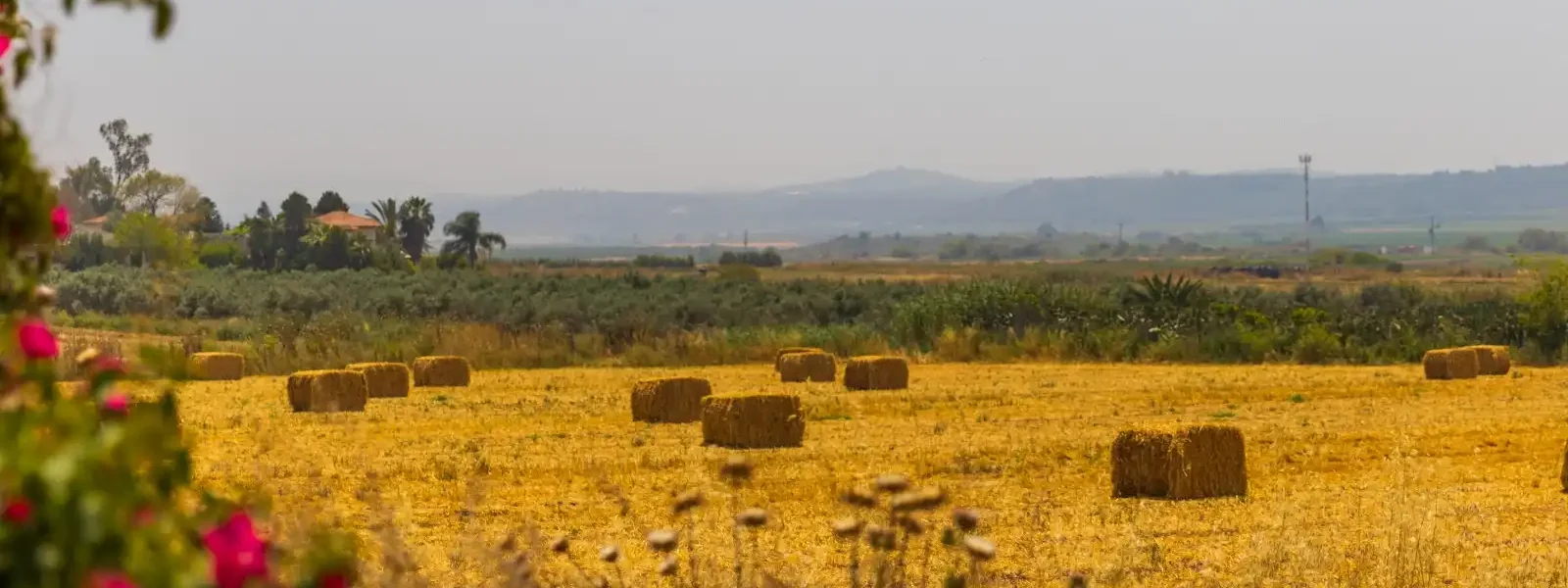 צימרים טל שחר