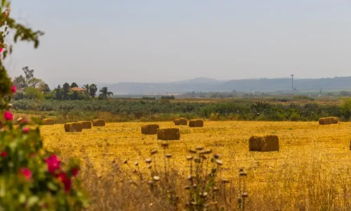 מקומות מיוחדים לאירועים