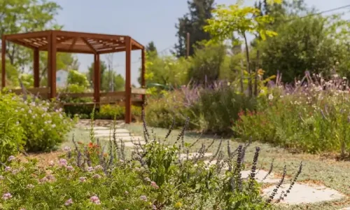 מקומות עם לינה ליד ירושלים