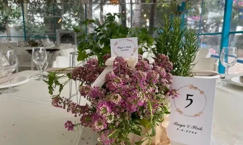 מקומות פסטורלים לאירועים