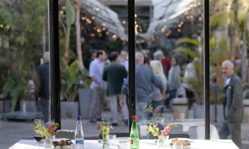 מקמות לאירועי חורף ביפו