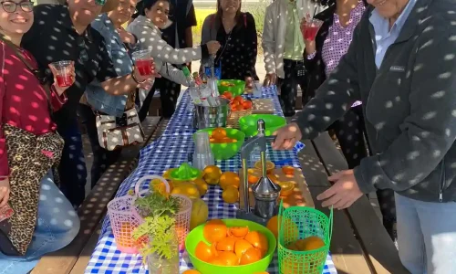 סיור בחווה בעמק חפר