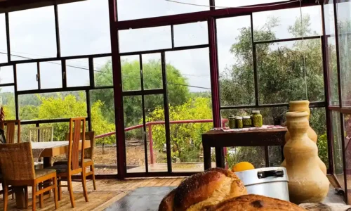 אירועי חברה