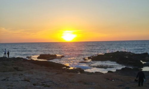 מסיבת רווקות בשטח