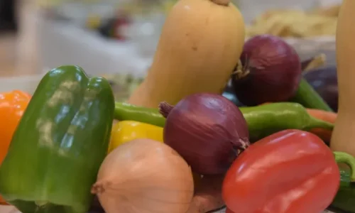 בריתה בחיפה