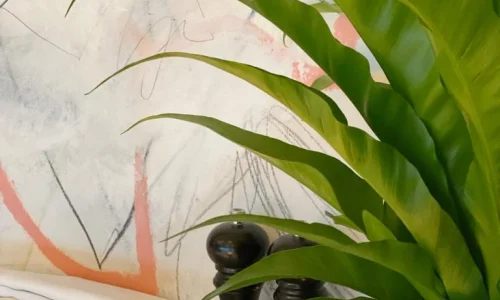 בת מצווה בקומה 49