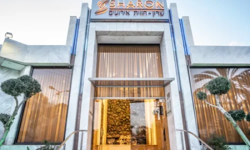 חתונה עד 800 איש