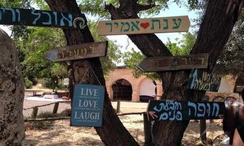 חופה תחת כיפת השמים