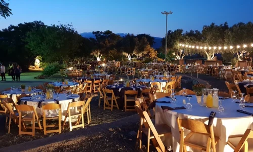 חתונה עם לינה