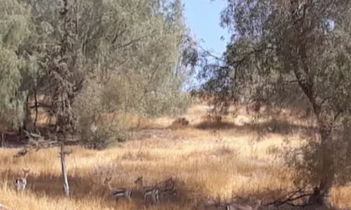 מקומות מיוחדים לאירועים