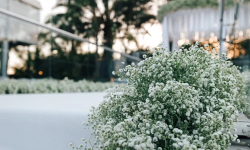 אולם וגן אירועים בירושלים