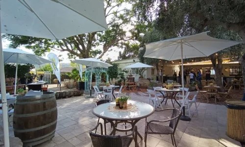 אירוע חברה בטבע