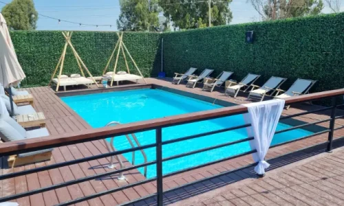 ארוחה עיסקית בטבע