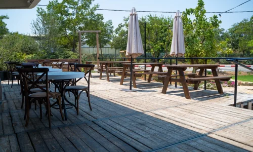 בת מצווה בטבע