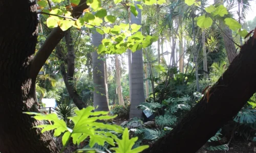 חתונה בטבע בצפון