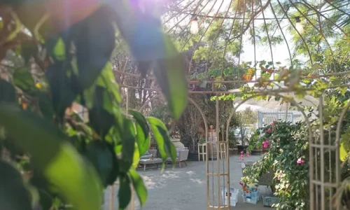 חתונה ביקב עמק האלה