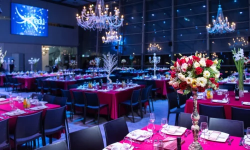 ימי גיבוש בקסאנדו