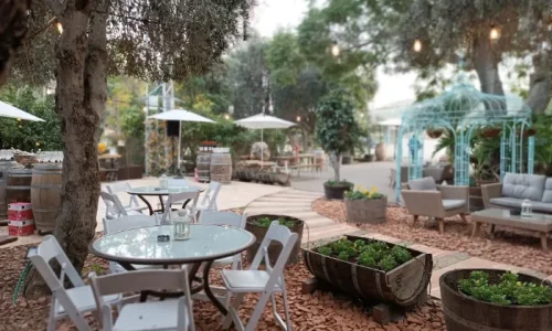 ימי הולדת ביקב