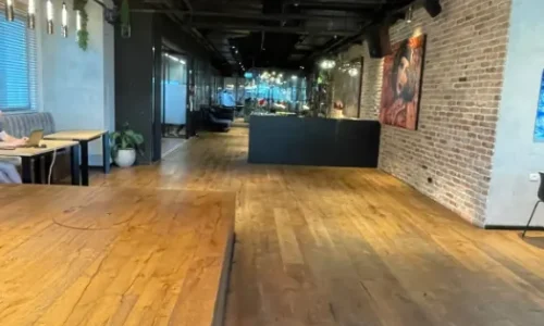 ימי כיף פנתרה