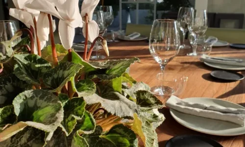 מקום לימי גיבוש