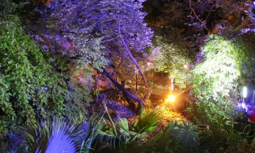 מקום לכנס בצפון בטבע