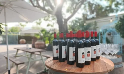 מקומום לאירוע חברה בטבע