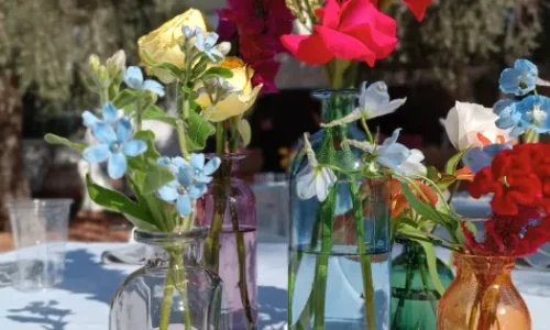 מקומות בטבע לחתונה