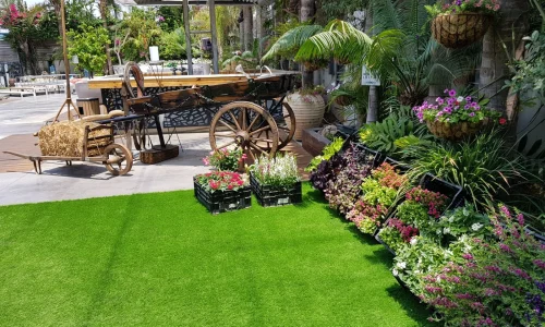 מקומות לימי גיבוש