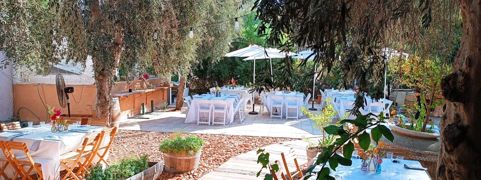 יקב עמק האלה