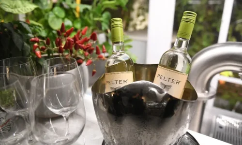 רביבה וסיליה אירועים