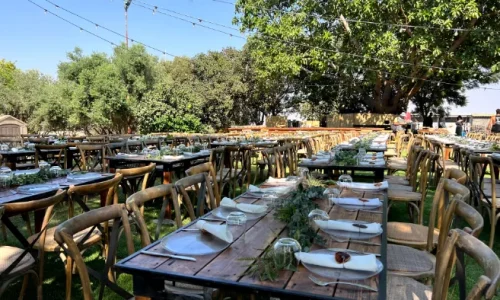 אירועי גיבוש בטבע