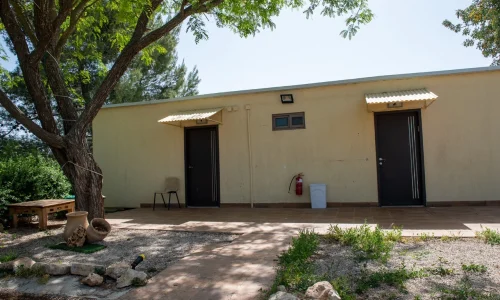 אלישע שבתות חתן