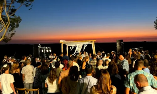 החווה של צביקה