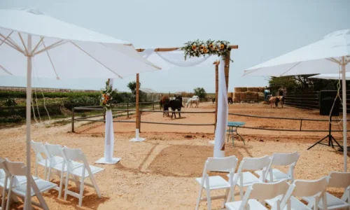 חופה תחת כיפת השמים