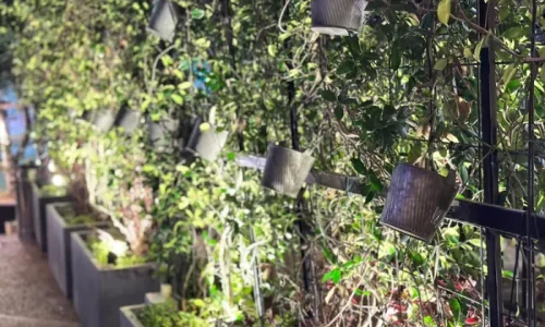 חתונה בעמק חפר