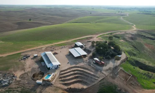 חתונה עם לינה