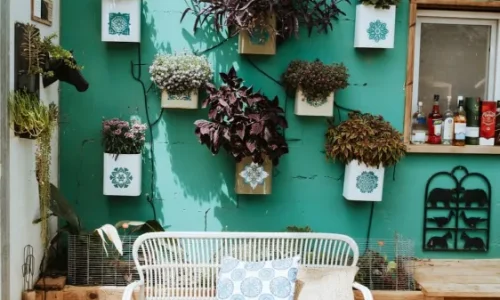 ימי הולדת בטבע