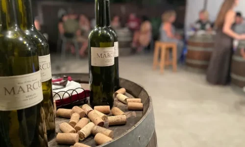 ימי הולדת ביקב