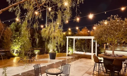 מקומות לסנאות בשרון