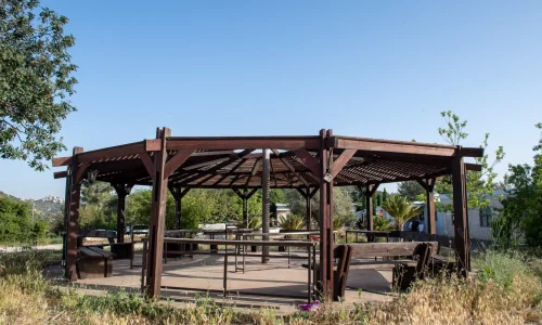 מקומות לתערוכות