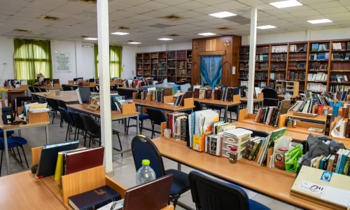 שבת חתן אלישע