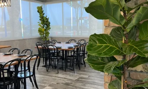 בר מצווה בבראכה