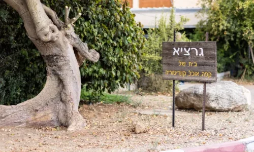 בראנצ' בשבת בשרון