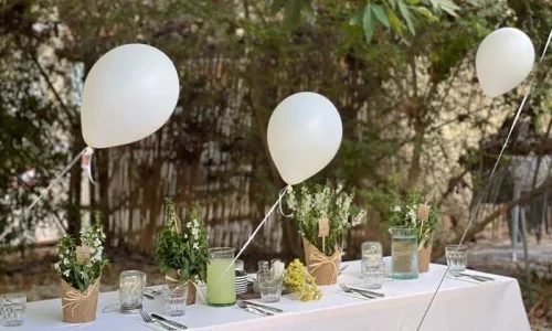 בריתה בגרציה