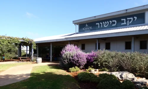 אירועים ביקב כישור