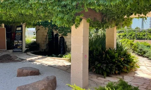 בר מצווה בפלנתניה