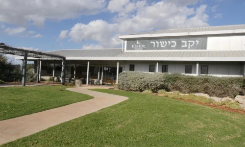 חתונה ביקב בצפון