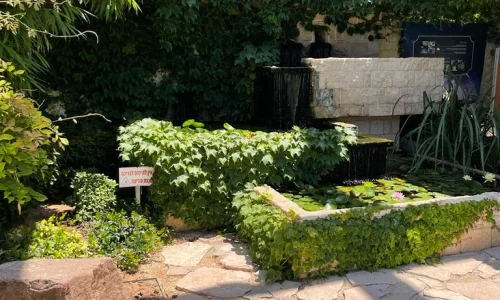 ימי גיבוש הפלנתניה