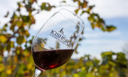 ימי הולדת ביקב